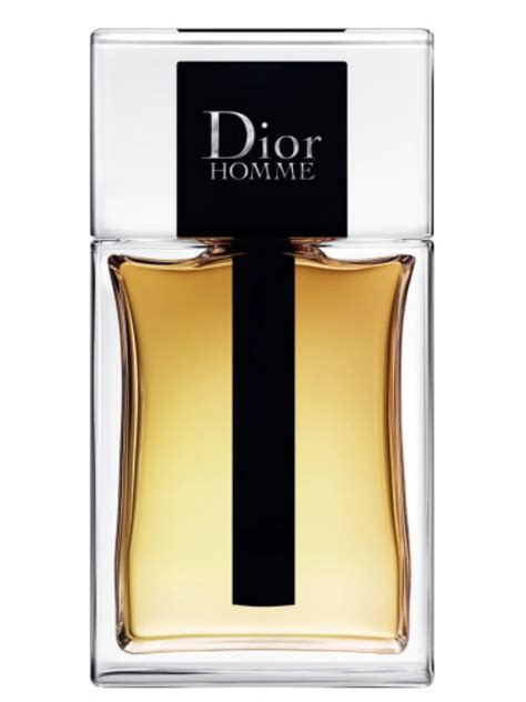 dior homme eau de toilette 2011|christian dior homme 2020.